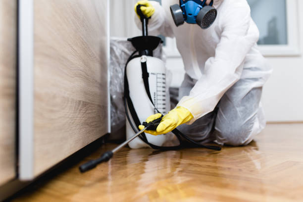 Best Mosquito Control Services  in Carrollton, KY