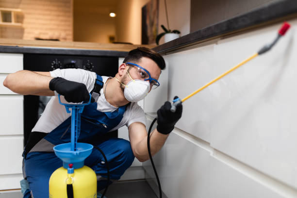 Best Exterminator Services  in Carrollton, KY