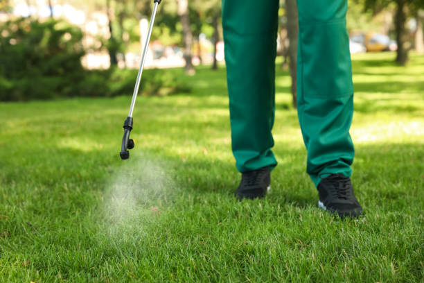 Best Affordable Pest Control Services  in Carrollton, KY