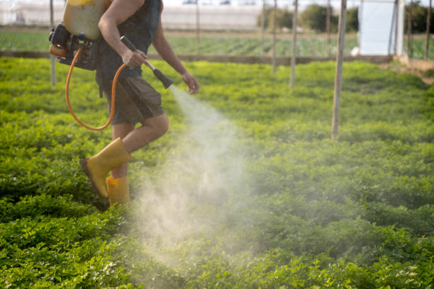 Best Affordable Exterminators  in Carrollton, KY