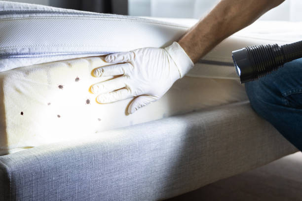 Best Pest Prevention Services  in Carrollton, KY